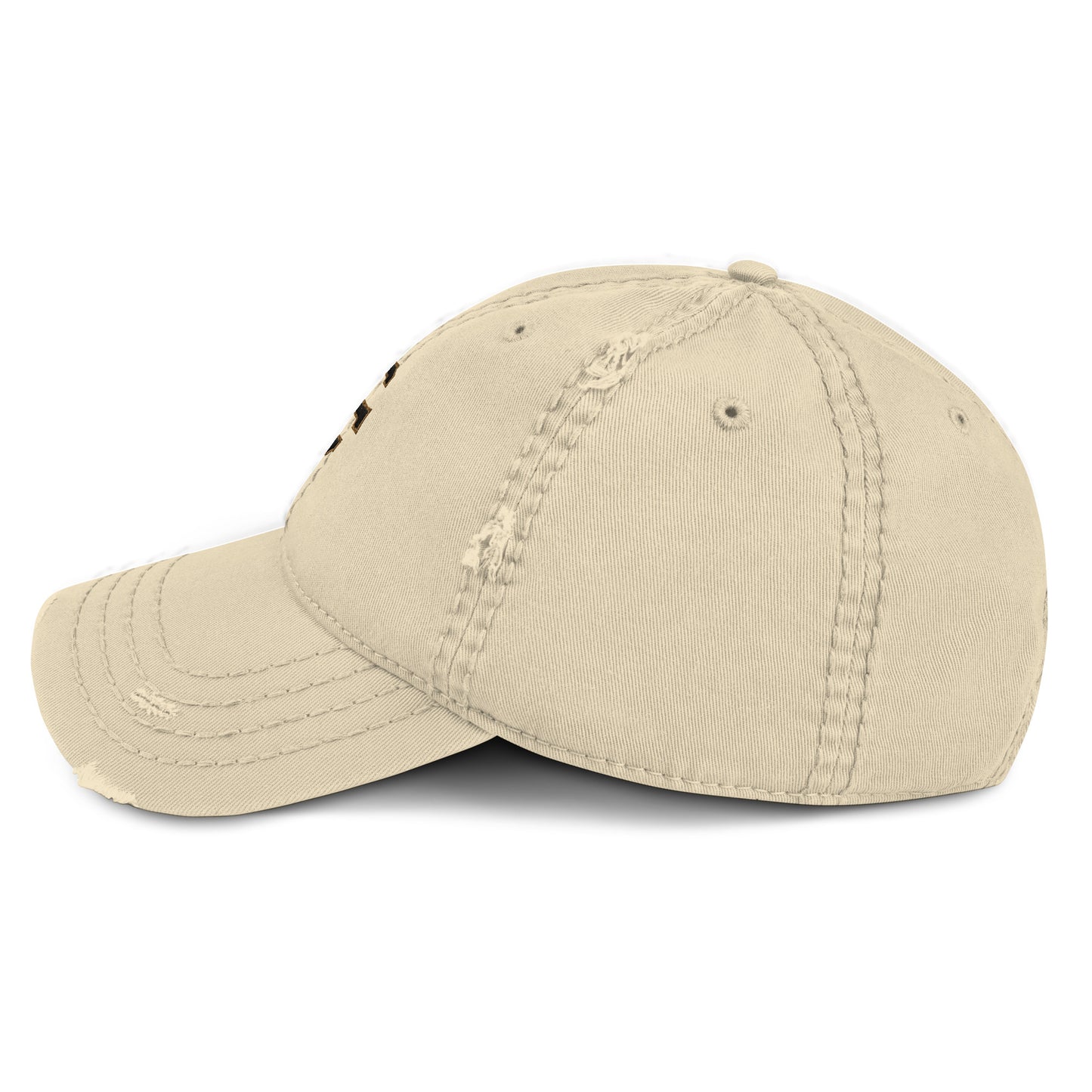 Camp Foreign Distressed Dad Hat