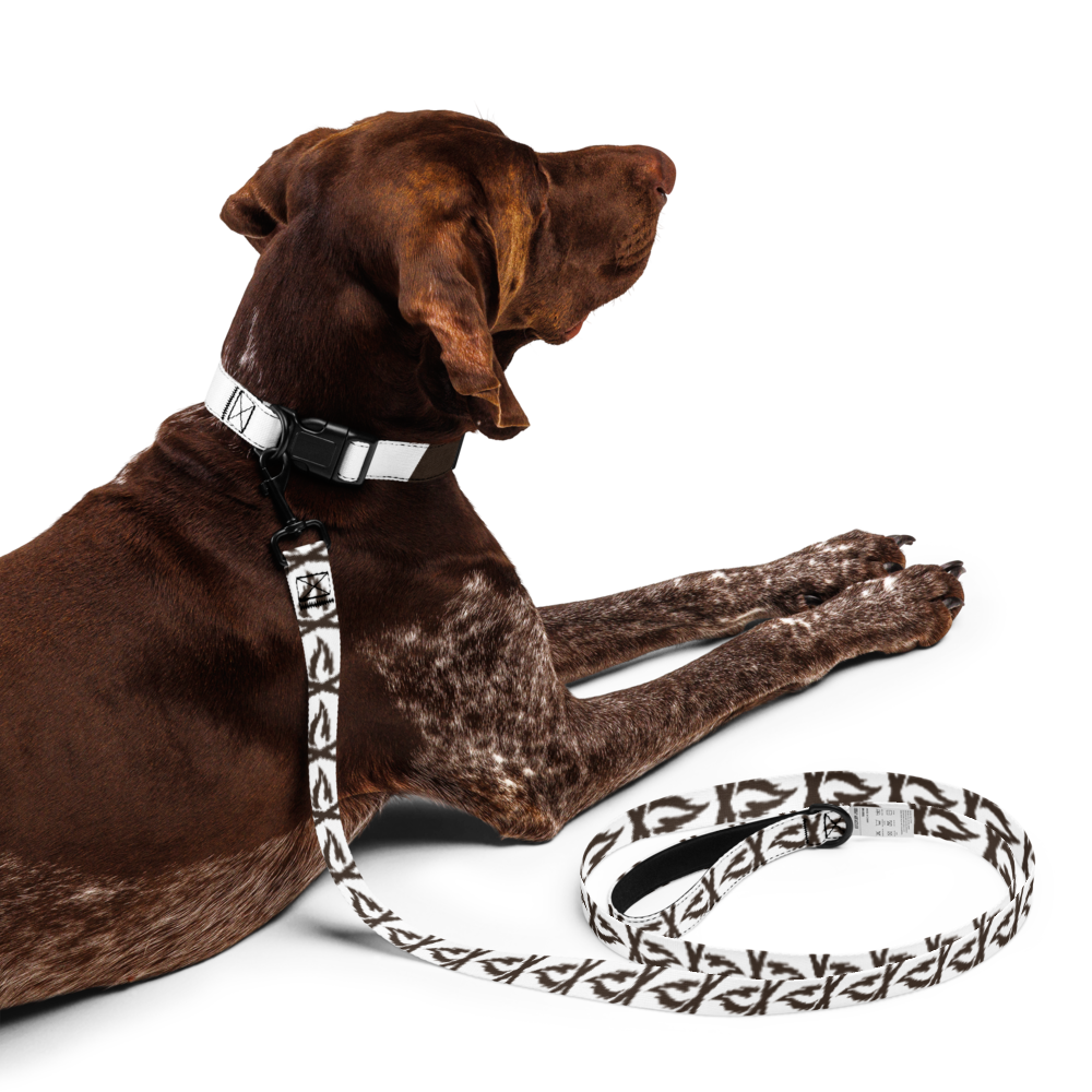 Brown Flame Pet Collar & Leash