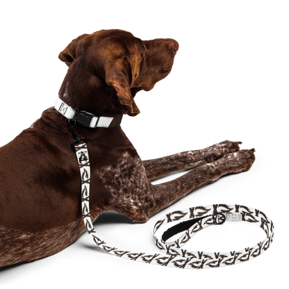 Brown Flame Pet Collar & Leash