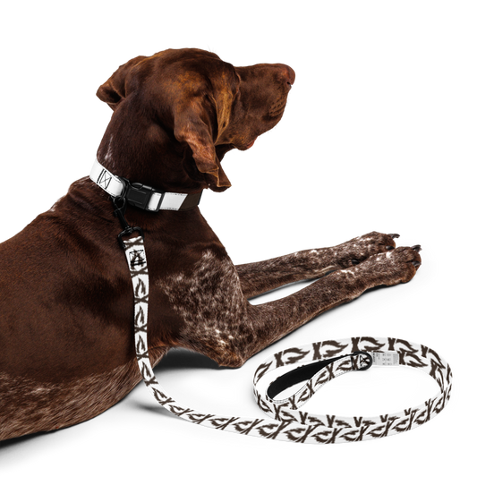 Brown Flame Pet Collar & Leash